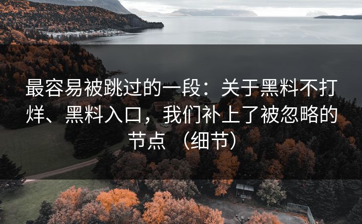 最容易被跳过的一段：关于黑料不打烊、黑料入口，我们补上了被忽略的节点 （细节）