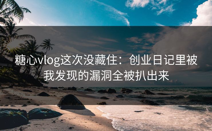 糖心vlog这次没藏住：创业日记里被我发现的漏洞全被扒出来
